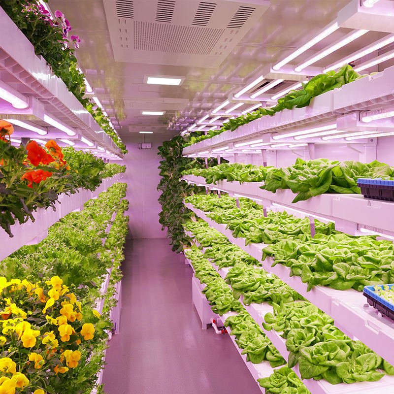 Container Farms
