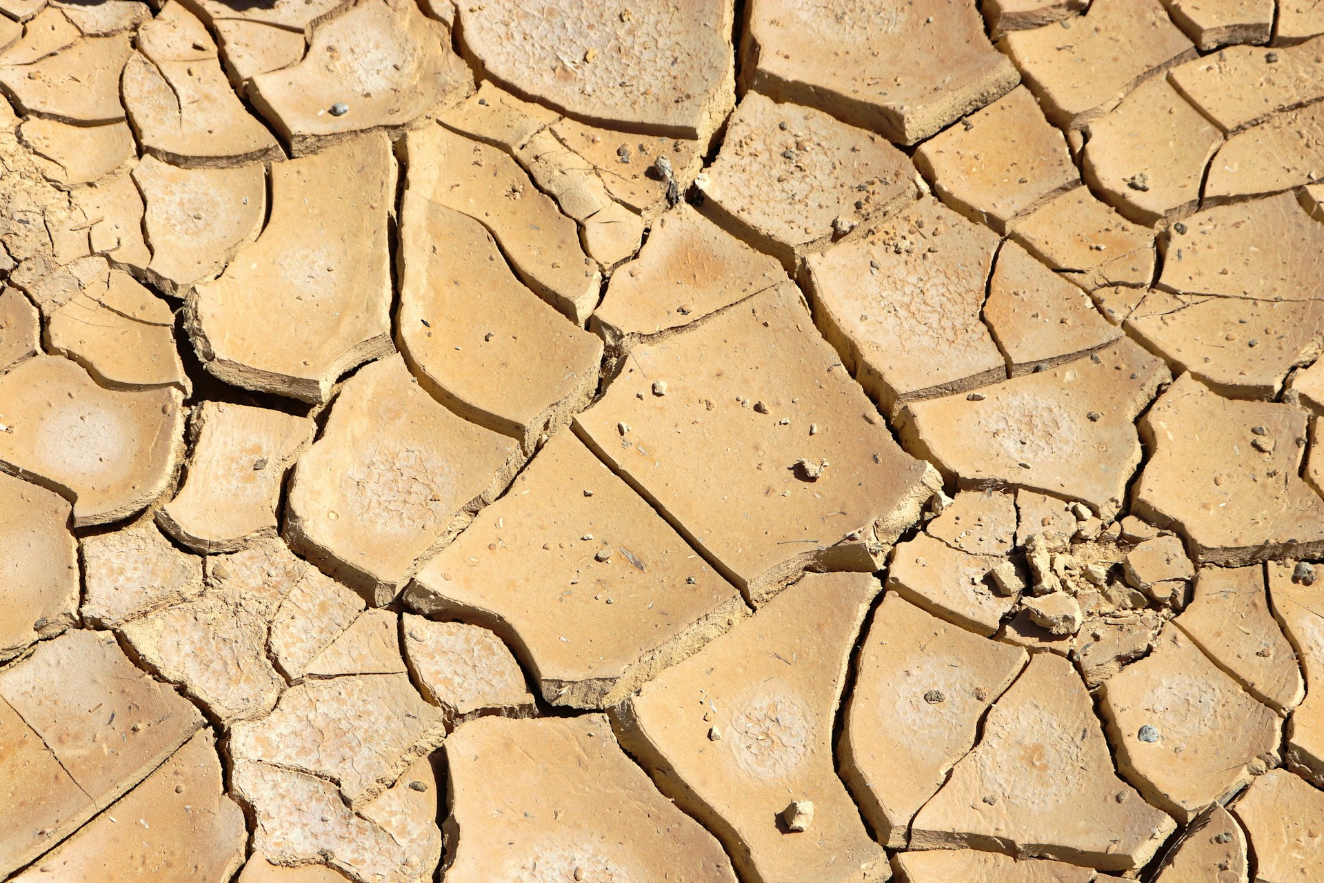 The UN Just Called El Niño a “Wrecking Ball.” Here’s What It Means for Food Supply Chains.