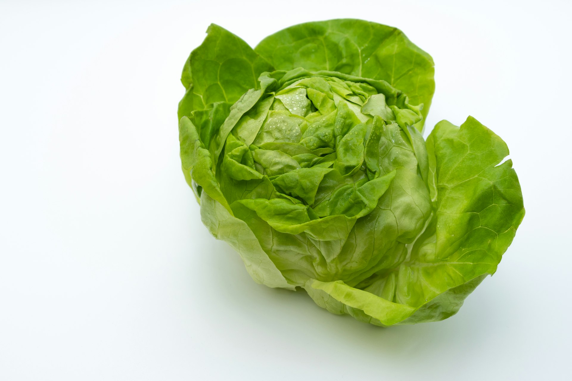 The Food Safety Dividend: How One Leafy Greens Brand Grew 6% While Its Category Fell 31%
