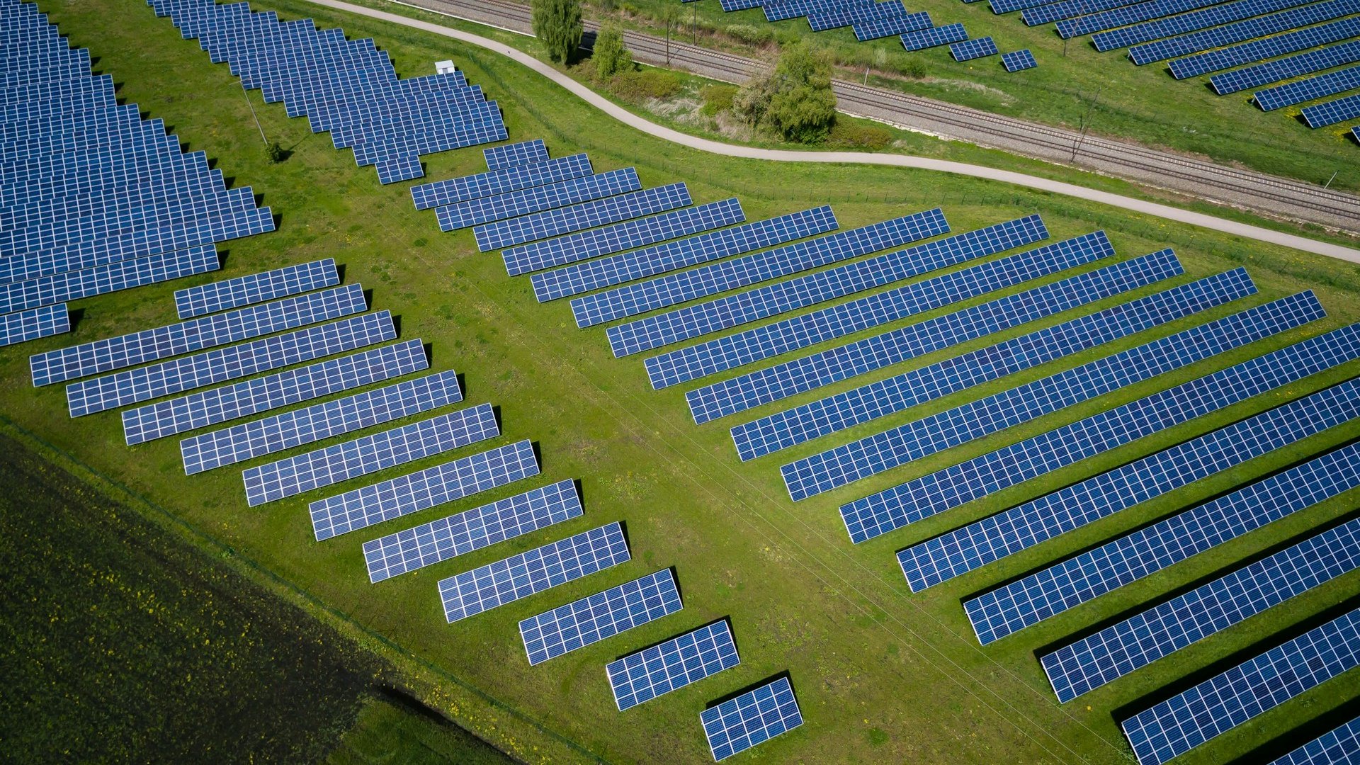 Solar Panels That Let the Light Through: The First Hectare-Scale Test Is Now Running